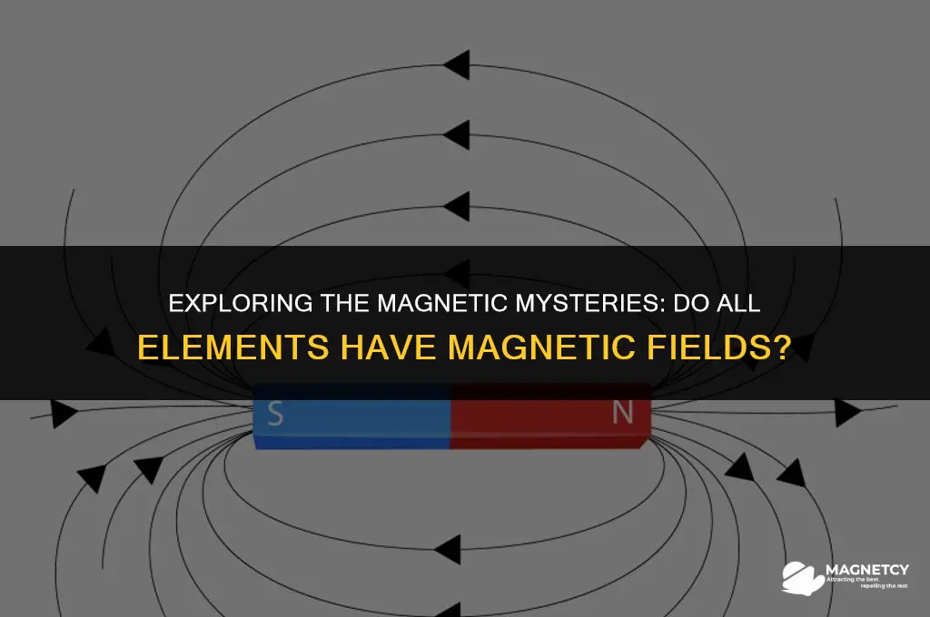 do all elements have magnetic fields