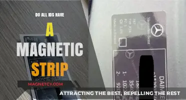 Decoding IDs: The Truth About Magnetic Strips and Security Features