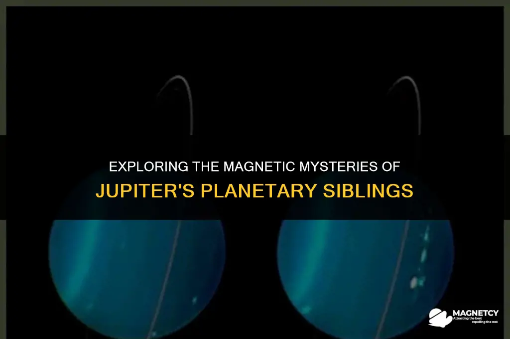 do all jovian planets have magnetic fields