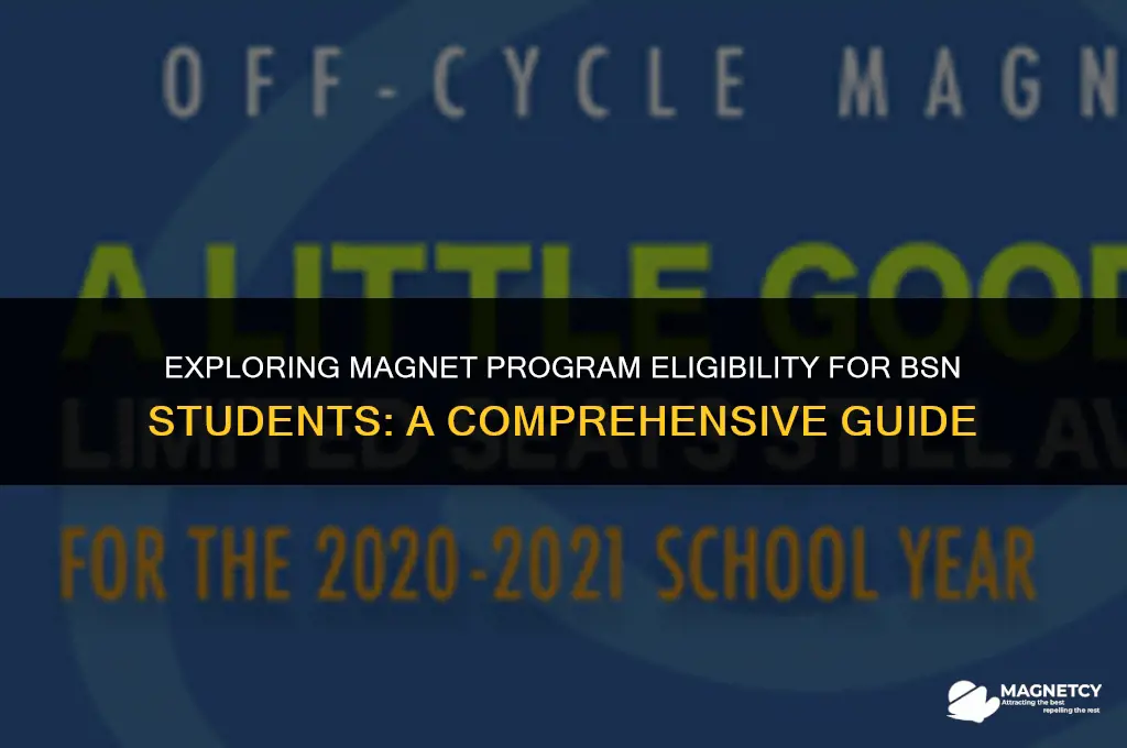 do all magnet programs accept rns currently in bsn program
