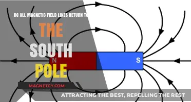 Exploring Magnetic Mysteries: Do All Field Lines Return to the South Pole?
