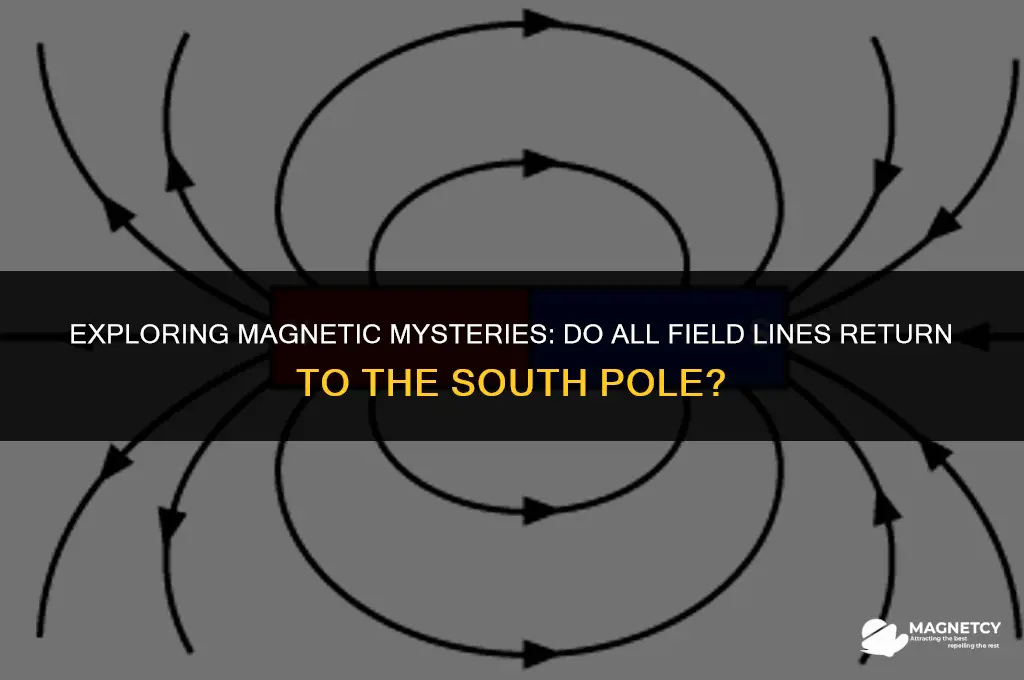 do all magnetic field lines return to the south pole
