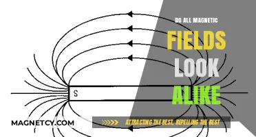 Exploring the Unique Patterns of Magnetic Fields