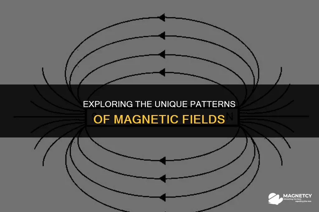 do all magnetic fields look alike