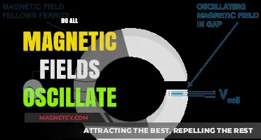 Exploring the Oscillatory Nature of Magnetic Fields