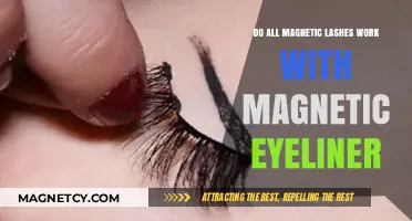 Exploring the Compatibility of Magnetic Lashes with Magnetic Eyeliner