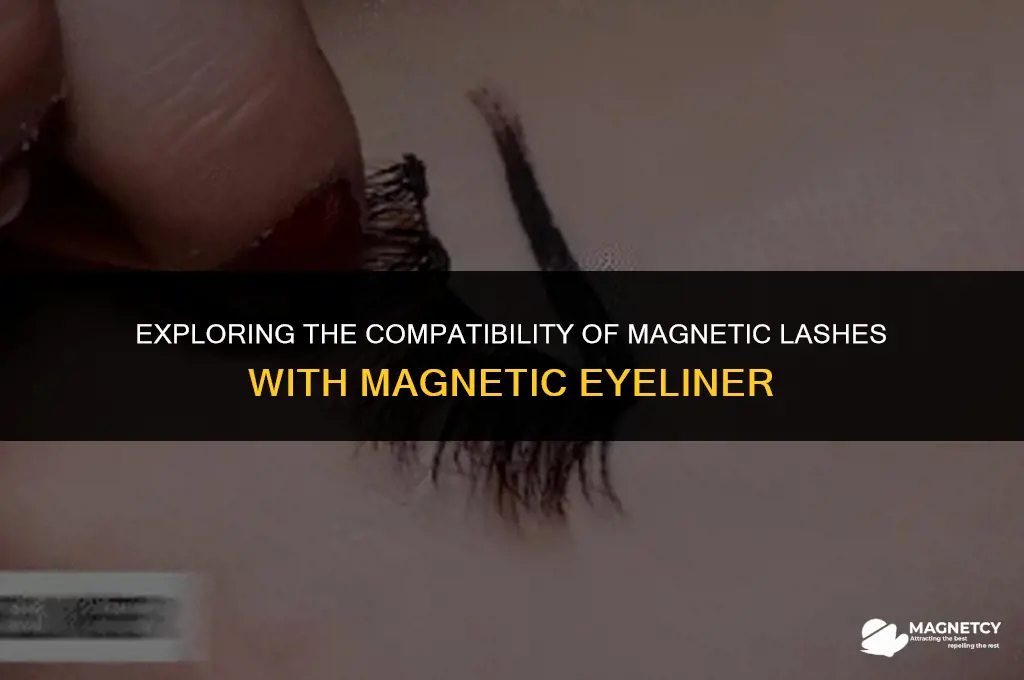 do all magnetic lashes work with magnetic eyeliner