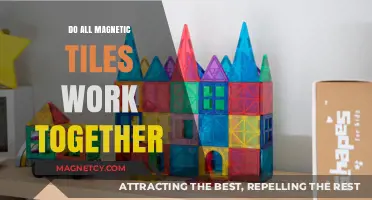 Exploring Compatibility: Do All Magnetic Tiles Work Together?