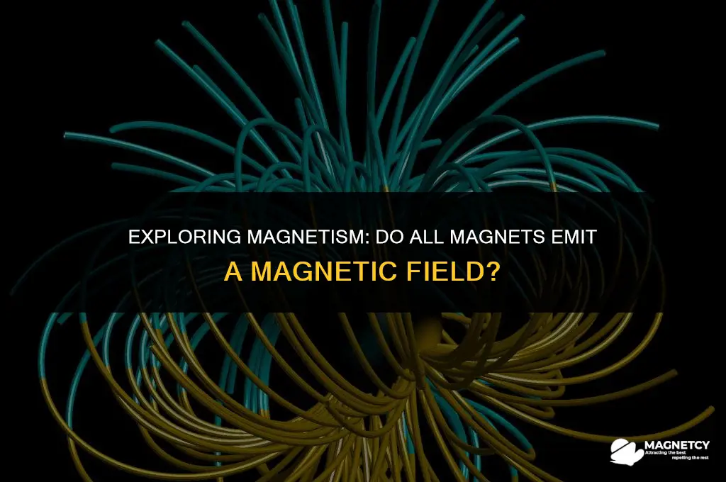do all magnets have a magnetic field