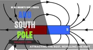 Exploring Magnetism: The Universal Truth About Poles