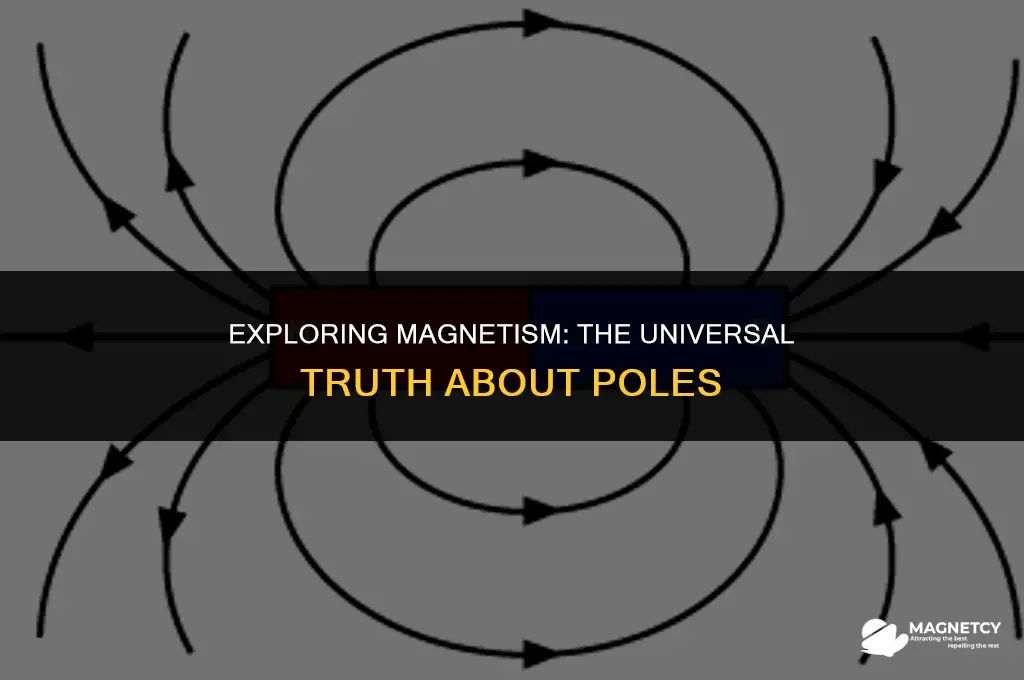 do all magnets have a north and south pole