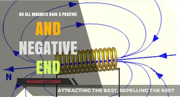 Exploring Magnetism: Do All Magnets Have a Positive and Negative End?