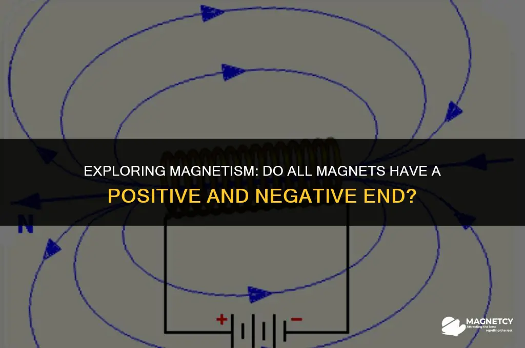 do all magnets have a positive and negative end