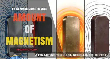 Exploring Magnetism: Do All Magnets Have Equal Strength?