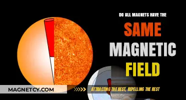 Exploring Magnetism: Do All Magnets Share the Same Magnetic Field?