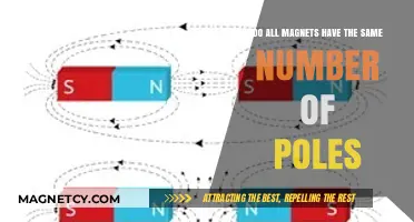 Exploring Magnetism: The Universal Rule of Magnetic Poles