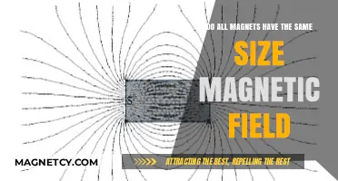 Exploring Magnetic Fields: Do All Magnets Have the Same Strength?