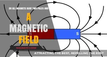 Exploring Magnetism: The Dual Nature of Poles and Fields