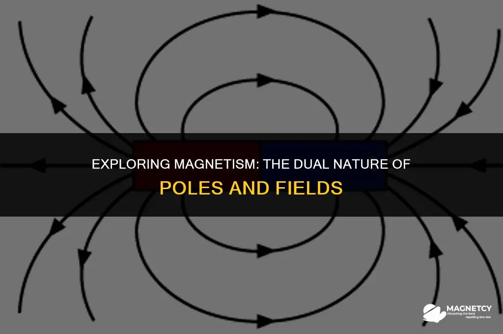do all magnets have two poles and a magnetic field