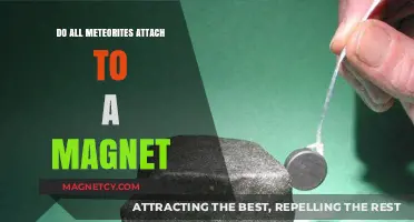 Exploring the Magnetic Properties of Meteorites: A Comprehensive Guide