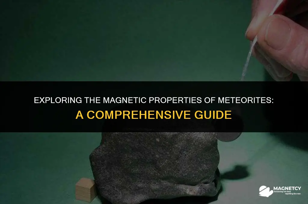 do all meteorites attach to a magnet