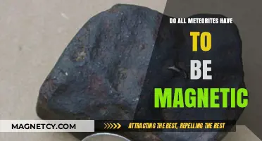 Unveiling the Mystery: Not All Meteorites Are Magnetic