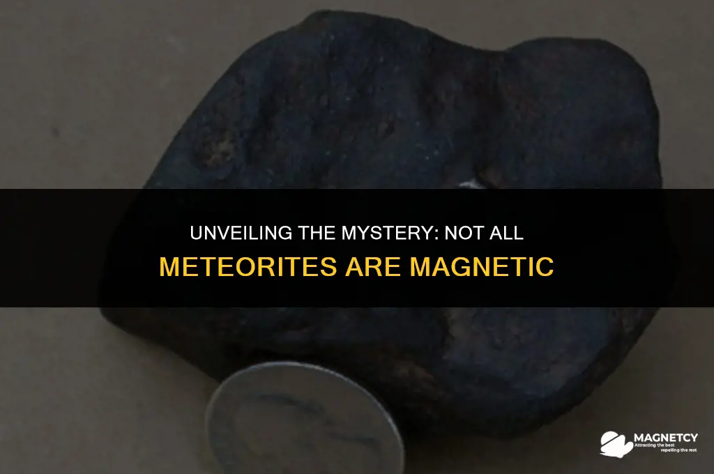 do all meteorites have to be magnetic