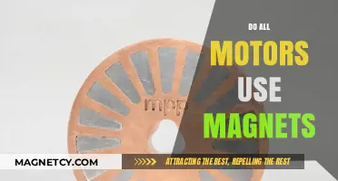 Magnets in Motors: Are They Universally Essential for Functionality?