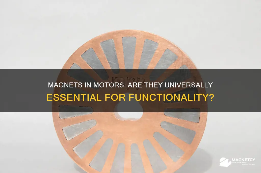 do all motors use magnets