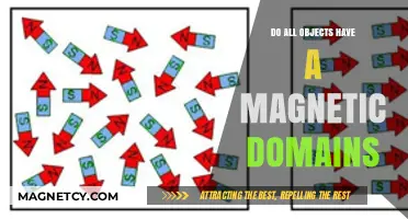 Exploring the Magnetic Mysteries: Do All Objects Have Magnetic Domains?