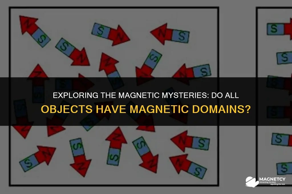 do all objects have a magnetic domains