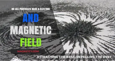 Exploring the Electromagnetic Nature of Particles: A Comprehensive Guide