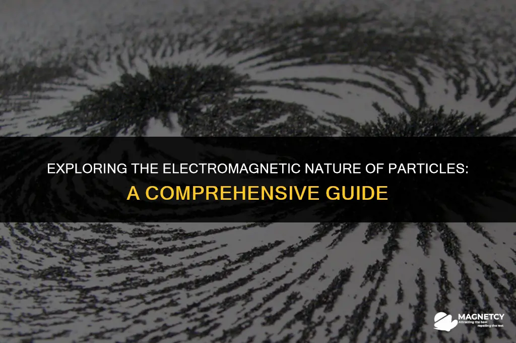 do all particles have a electric and magnetic field
