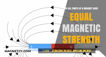 Exploring Magnetism: Do All Parts of a Magnet Have Equal Strength?