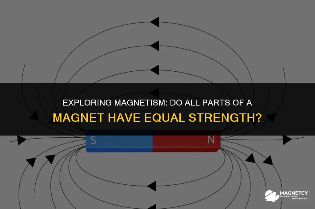 do all parts of a magnet have equal magnetic strength