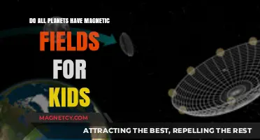 Exploring Space: Do All Planets Have Magnetic Fields?