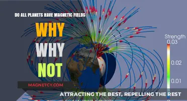 Exploring the Cosmos: Do All Planets Harbor Magnetic Fields?