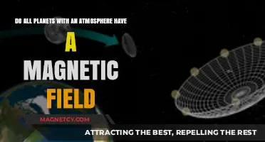 Exploring the Cosmic Connection: Atmospheres and Magnetic Fields on Planets