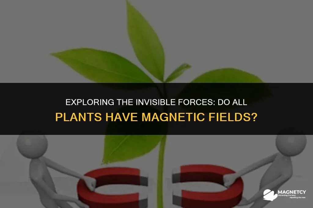 do all plants have magnetic fields