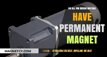 Exploring the Core: Do All PM Brush Motors Contain Permanent Magnets?
