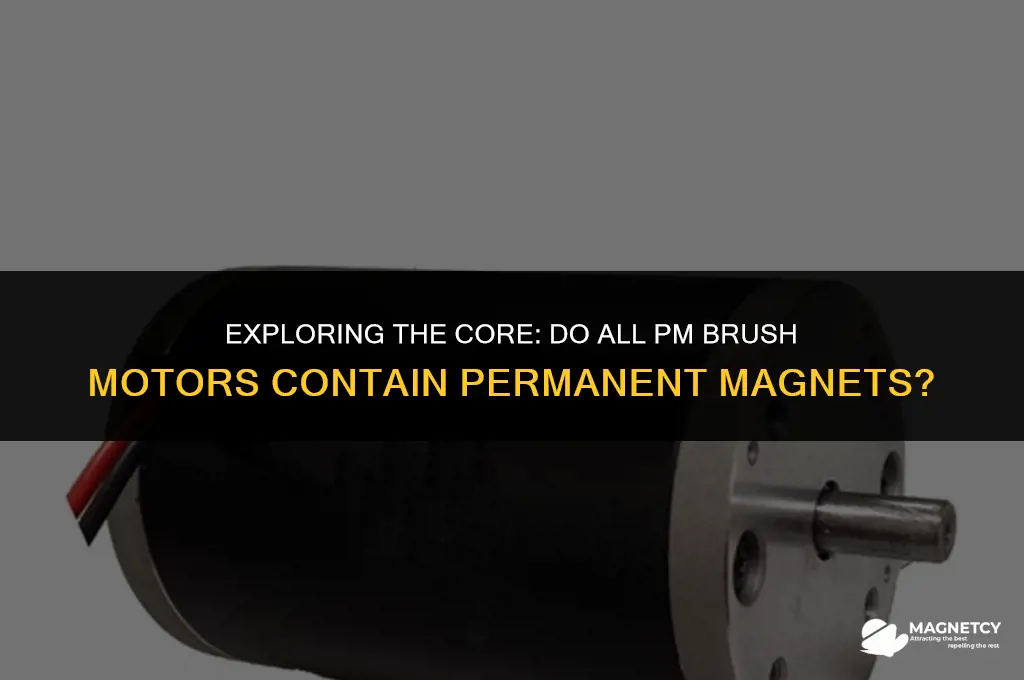 do all pm brush motors have permanent magnet
