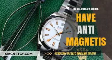 Exploring Rolex's Antimagnetic Features: A Comprehensive Guide