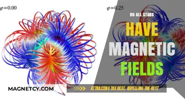 Unveiling the Hidden Forces: Do All Stars Harbor Magnetic Fields?