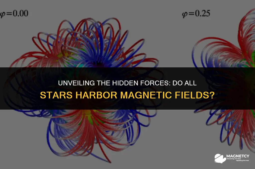 do all stars have magnetic fields