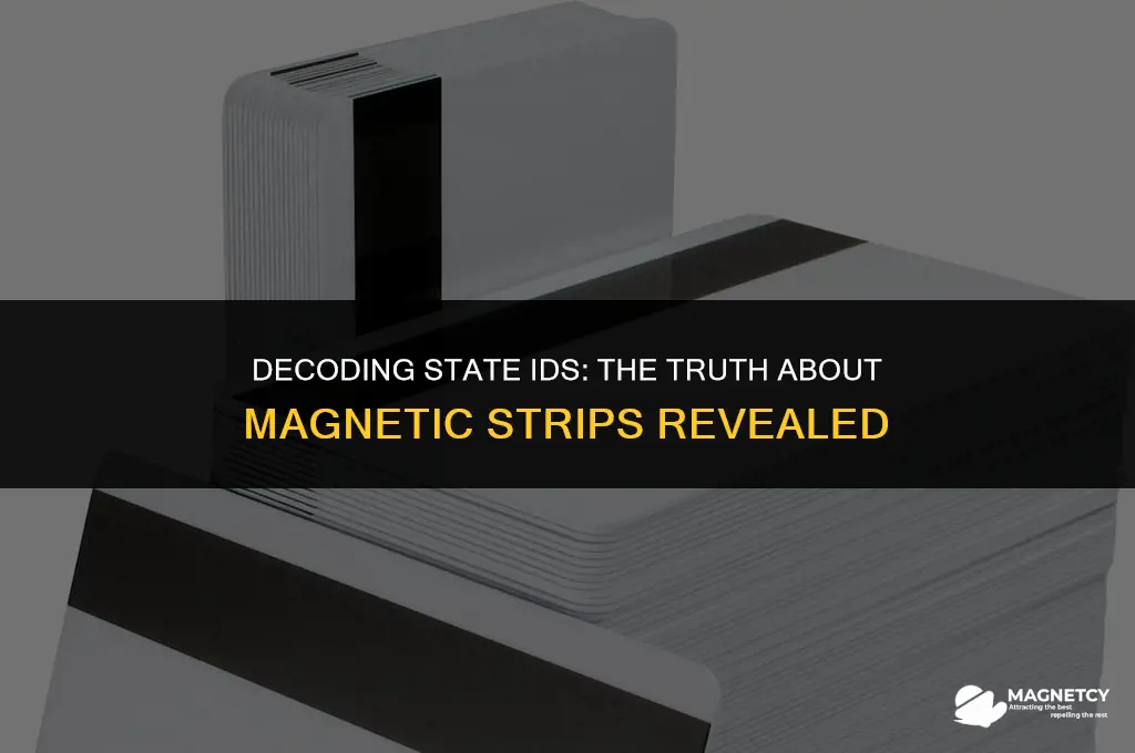 do all state ids have magnetic strips