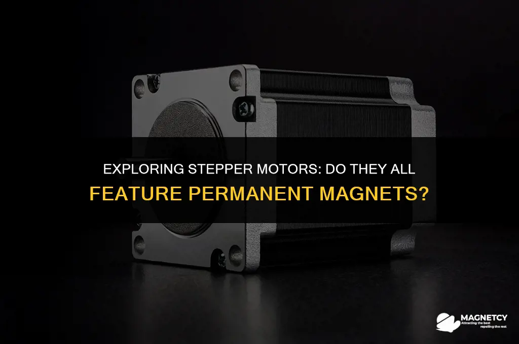 do all stepper motors have permanent magnet for rotor