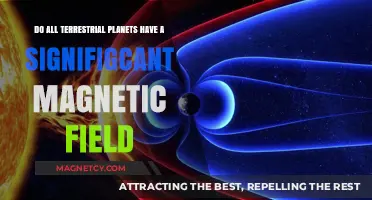 Exploring the Magnetic Mysteries of Terrestrial Planets