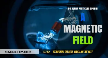 Unveiling the Spin Dynamics of Alpha Particles in Magnetic Fields