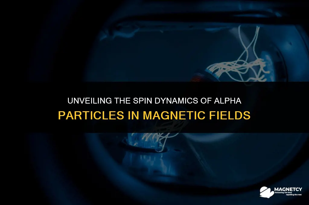 do alpha particles spin in a magnetic field
