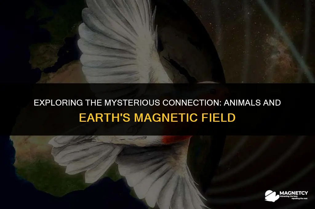 do animals align themselves with the earth
